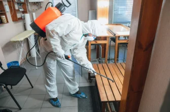 Уничтожение насекомых в квартире в Москве